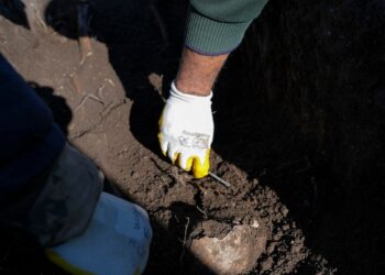 Šokiruojantis radinys: romėnai gydėsi kitų žmonių išmatomis – archeologai rado įrodymų