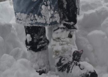 Ar pavasaris ateis gerokai anksčiau? Keisti sniego ženklai stebina specialistus