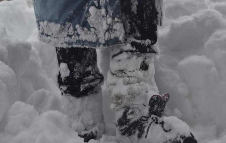 Ar pavasaris ateis gerokai anksčiau? Keisti sniego ženklai stebina specialistus