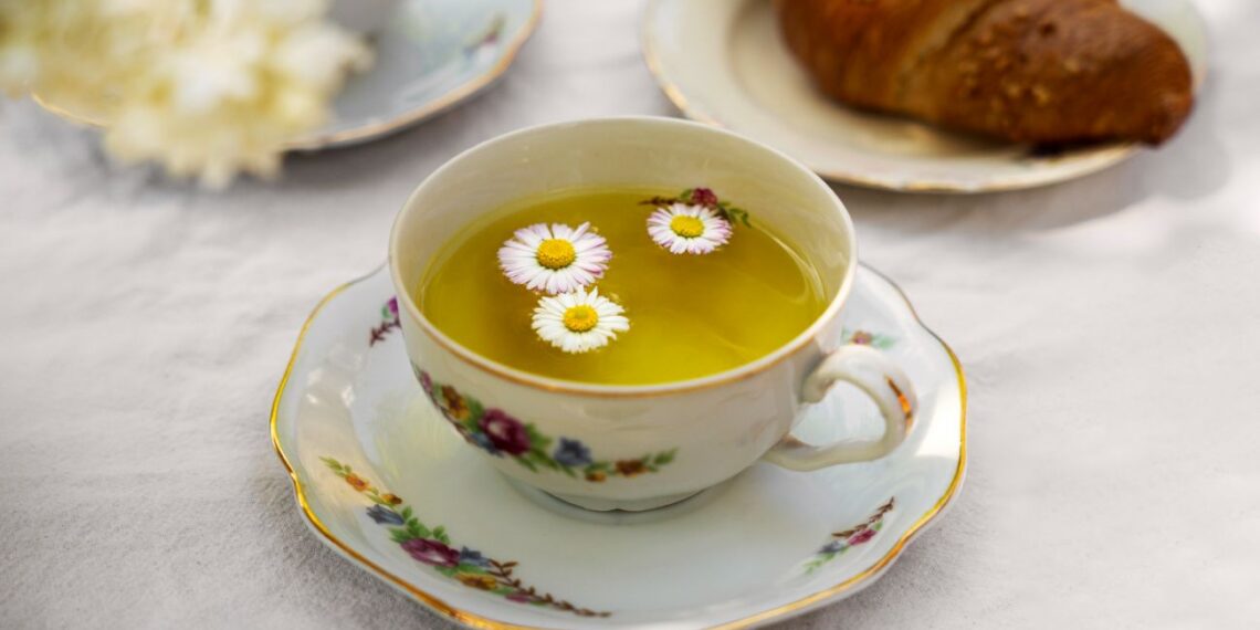 Ne tik ramina: lietuvių namuose dažnas augalas, stiprinantis organizmą ir gerinantis odos būklę