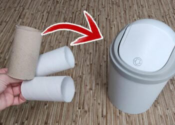 Nuo šiol tualetinio popieriaus ritinėlių neišmesite: štai kodėl