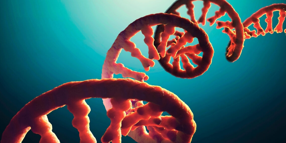 Mokslininkai atskleidžia: tikroji ląstelių paslaptis slypi ne DNR