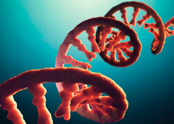 Mokslininkai atskleidžia: tikroji ląstelių paslaptis slypi ne DNR