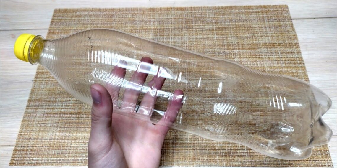 Plastikinius butelius pavertė plokštėmis šiltnamiui: geriausiai veikia vienas metodas