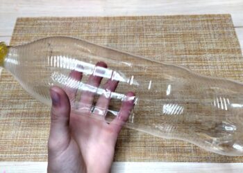 Plastikinius butelius pavertė plokštėmis šiltnamiui: geriausiai veikia vienas metodas