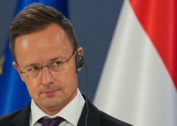 Sulaikytas vengras, aštrūs kaltinimai Kijevui: įtampa tarp šalių auga