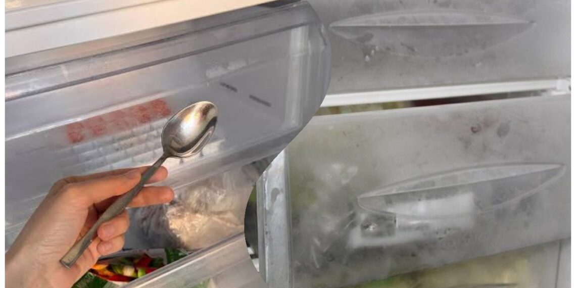 5 šaukštai šaldiklyje? Iš pradžių kvatojo, dabar pavydi rezultato