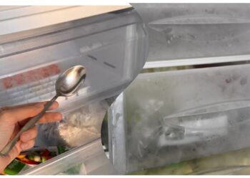 5 šaukštai šaldiklyje? Iš pradžių kvatojo, dabar pavydi rezultato
