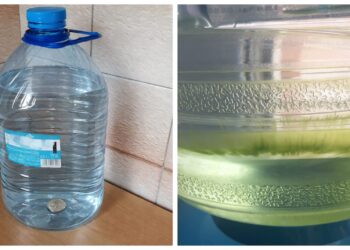 Vanduo butelyje ilgiau išlieka skaidrus? Triukas su sidabrine moneta