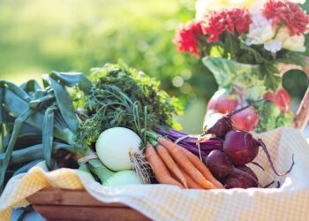 Ar vegetarai rečiau serga vėžiu? Milžiniškas tyrimas atskleidė netikėtus skaičius