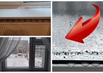 Kondensatas ant langų? Paprasta smulkmena padėjo atsikratyti drėgmės per vieną naktį