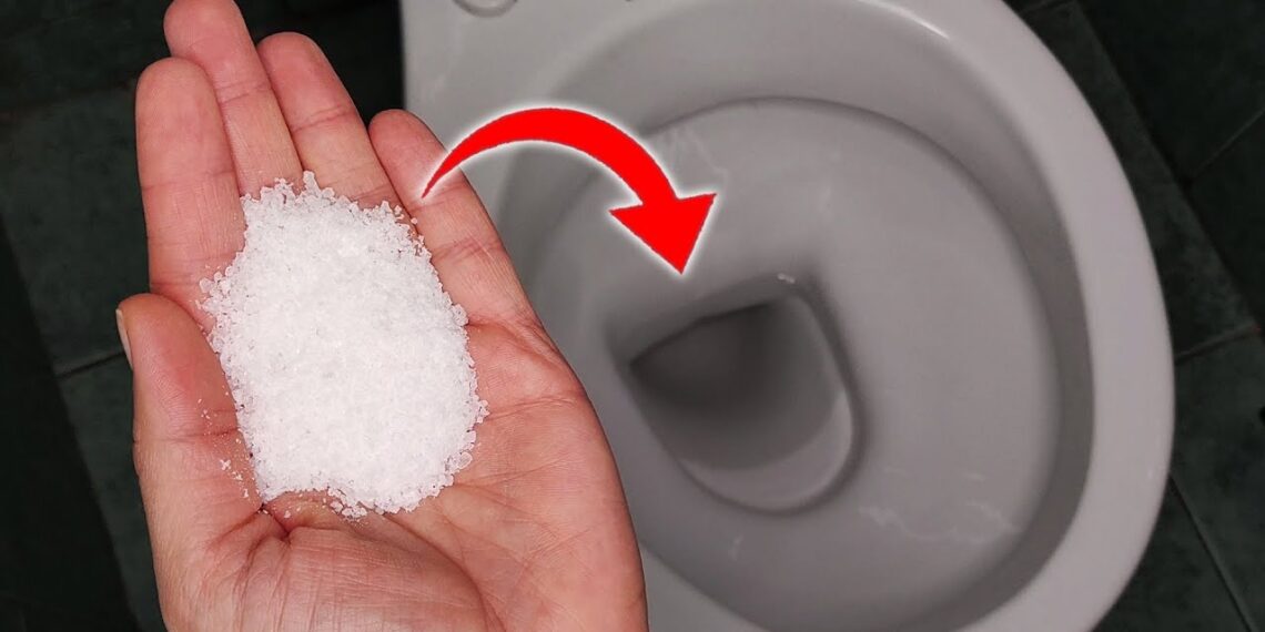 Kodėl į klozetą beriu žiupsnelį druskos: paprastas, bet veiksmingas triukas
