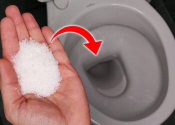 Kodėl į klozetą beriu žiupsnelį druskos: paprastas, bet veiksmingas triukas