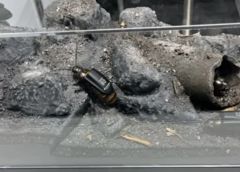 Vabzdžiai ar robotai? Vokietijos startuolis parodė naują karinę technologiją