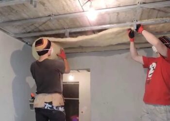 Buteliai ir pjuvenos vietoj mineralinės vatos? Rezultatas nustebino net specialistus