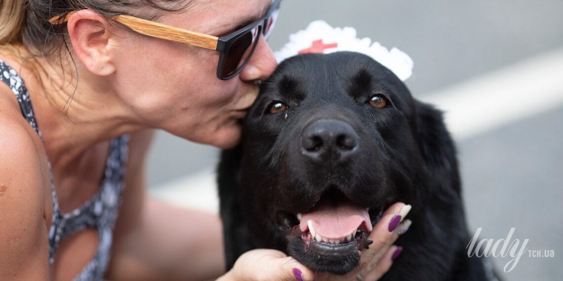 Sepsis po kontakto su šunimi: gydytojai ragina atkreipti dėmesį į simptomus