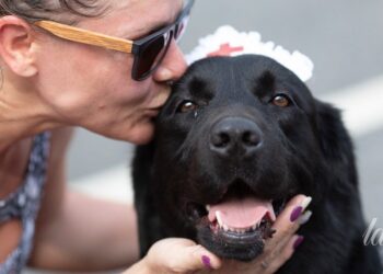 Sepsis po kontakto su šunimi: gydytojai ragina atkreipti dėmesį į simptomus