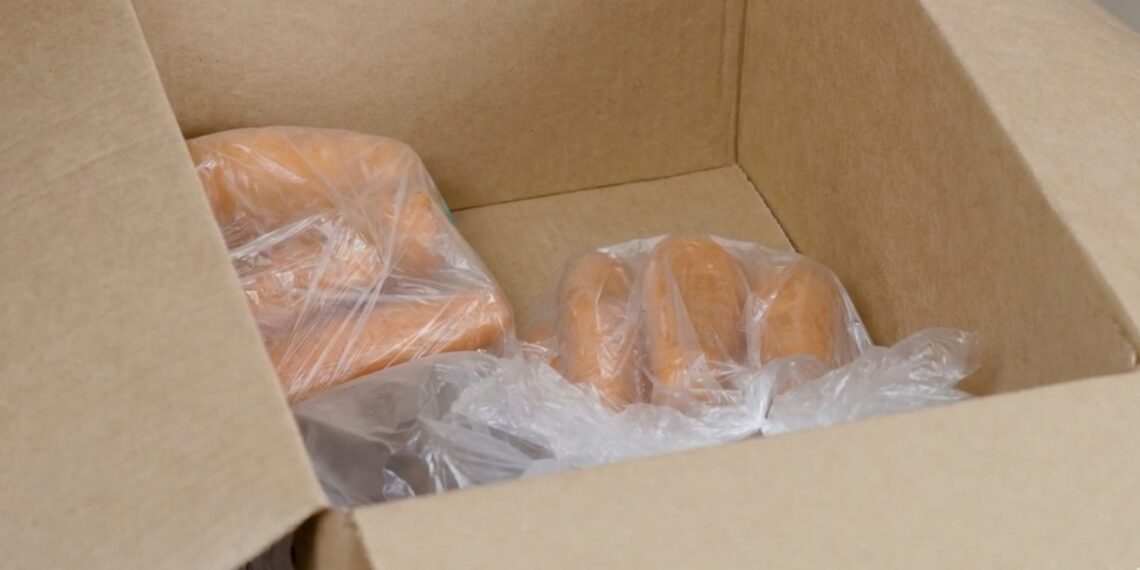 Neišmeskite siuntinių dėžių – jos gali išgelbėti jūsų derlių