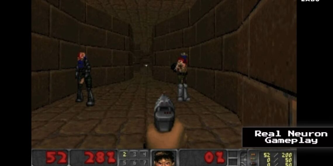 Neįtikėtinas eksperimentas: smegenų ląstelės laboratorijoje mokosi žaisti žaidimą