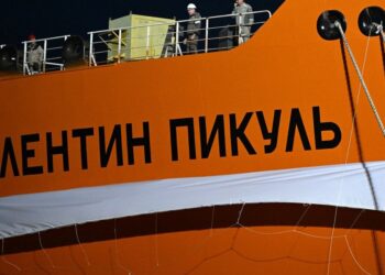 Ukrainos dronų ataka Novorosijske: apgadinti penki Rusijos karo laivai