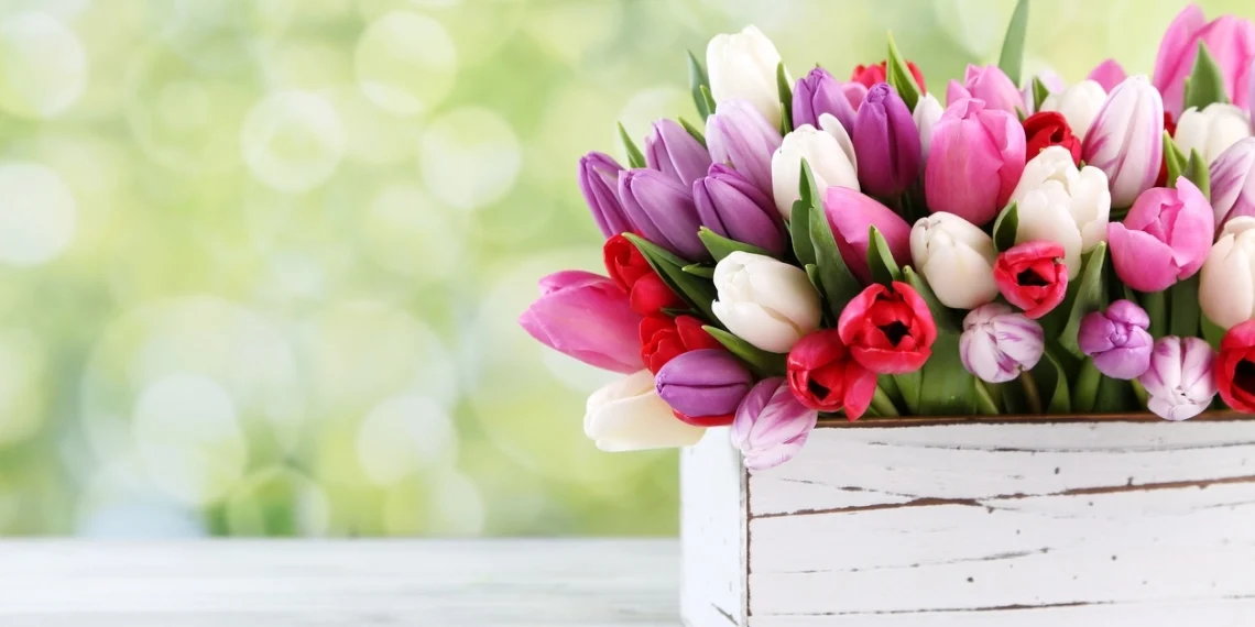 32 pavasarinės dekoracijos kiemui ir namams: daugumą jų pasigaminsite iš senų daiktų