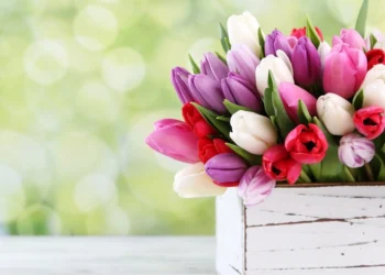 32 pavasarinės dekoracijos kiemui ir namams: daugumą jų pasigaminsite iš senų daiktų