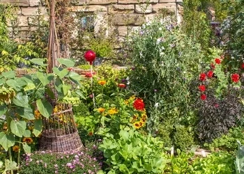 Nemokama sodo idėja: iš šakų galite pasidaryti stilingą augalų atramą