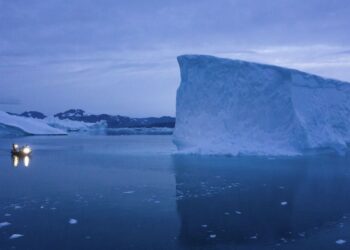 Arktis praranda tai, kas ją darė išskirtinę: mokslininkai fiksuoja pavojingus pokyčius