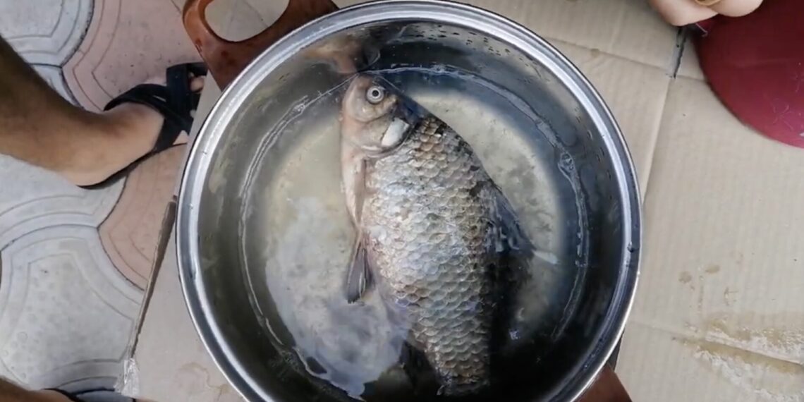 Paprastas triukas virtuvėje: kaip per 30 sekundžių nuvalyti karšį be žvynų visoje virtuvėje