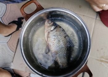 Paprastas triukas virtuvėje: kaip per 30 sekundžių nuvalyti karšį be žvynų visoje virtuvėje