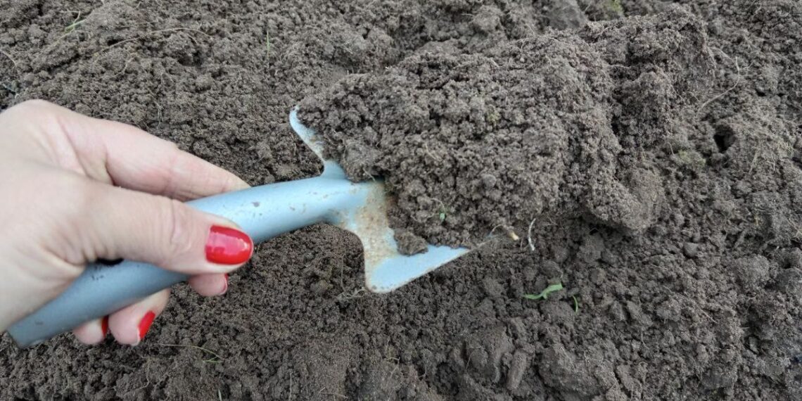 Artėja dvi dienos, kai tręšti dirvos griežtai nerekomenduojama: sodininkai perspėjami apie prastą derlių