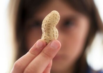 Mokslininkai aptiko bakterijas, kurios gali slopinti žemės riešutų alergiją