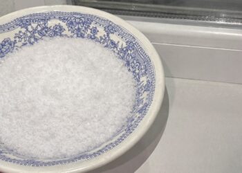 Kodėl patyrusios šeimininkės laiko druską ant palangės? Priežastis nustebins
