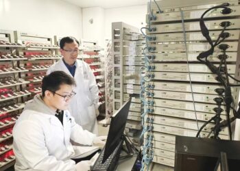 Kinija pristatė naujos kartos bateriją: ji veikia net ekstremaliame karštyje