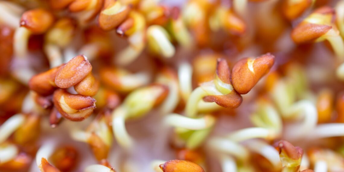 Auginkite ant palangės visus metus: kresas stiprina imunitetą ir suteikia energijos