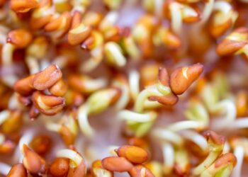 Auginkite ant palangės visus metus: kresas stiprina imunitetą ir suteikia energijos