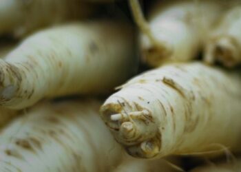 Krienai – ne tik Velykoms: kodėl šį aštrų šakniavaisį verta įtraukti į kasdienę mitybą