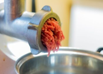 Mėsmalė stringa? Patikrinkite šią vietą – problema išsispręs per minutę