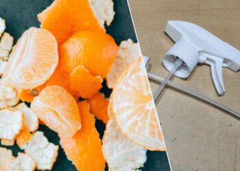 Neišmeskite citrusų žievių: paprastas triukas spintoje suteiks kvapą net 2 mėnesiams