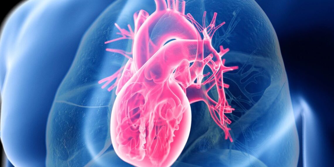 Didelis tyrimas atskleidė netikėtą faktą apie širdies sveikatą: dėmesys – ne tik riebalams ar angliavandeniams