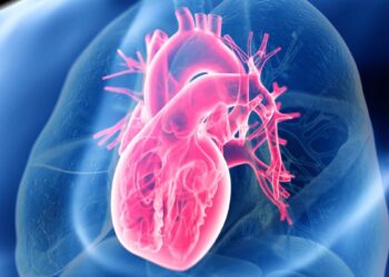 Didelis tyrimas atskleidė netikėtą faktą apie širdies sveikatą: dėmesys – ne tik riebalams ar angliavandeniams