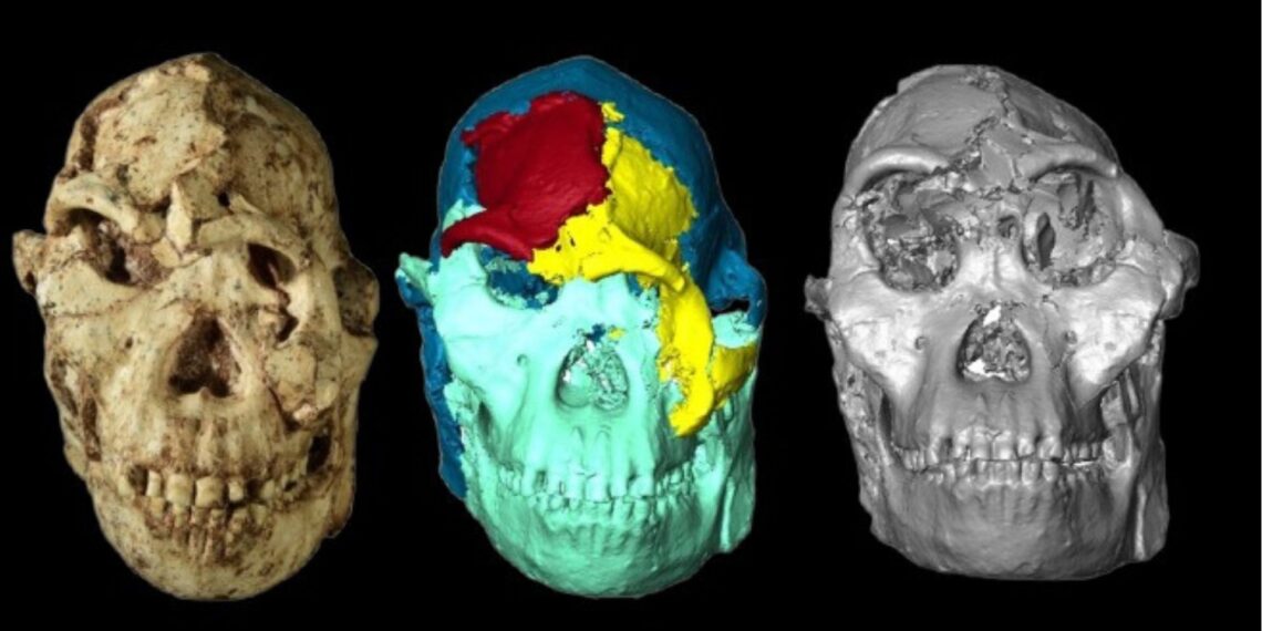 Mokslininkai atkūrė 3,67 mln. metų senumo žmogaus veidą: rezultatas nustebino net tyrėjus