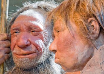 Netikėtas atradimas genetikoje: X chromosomoje nebeliko neandertaliečių DNR pėdsakų