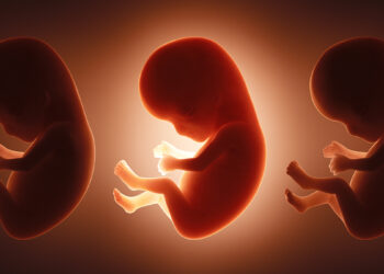 Mokslininkai sunerimę: tyrimas aptiko dešimtis cheminių medžiagų dar negimusių kūdikių organizme