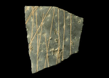 Ar tai seniausia geometrinė kalba? Tyrėjai analizuoja stručių kiaušinių ženklus