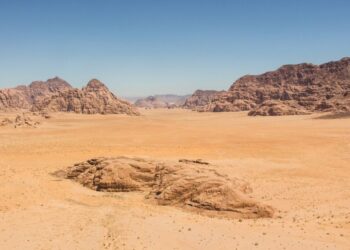 Mokslininkus nustebino atradimas: mirtinai sausa Atakamos dykuma pilna gyvybės