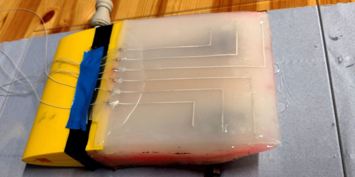 Nauja technologija povandeniniams robotams: pelekai 87 % efektyviau kovoja su srovėmis