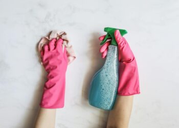 Ji atsisakė brangaus langų valiklio ir sumaišė 4 pigias priemones – rezultatas pribloškė