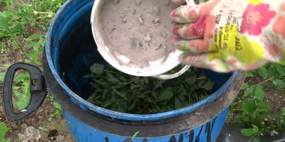 Paprasta namų trąša daržui: vos vienas litras į dešimt litrų vandens gali padaryti stebuklus