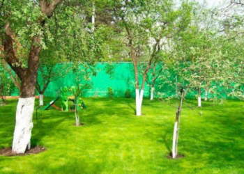 Mokslininkų atradimas: vaisių aromatuose – medžiagos, veikiančios vėžio ląsteles